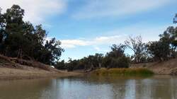 Riverbed with some water and weeds