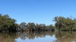 River completely filled with water