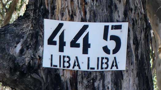 Sign on a tree with number 445 written on it