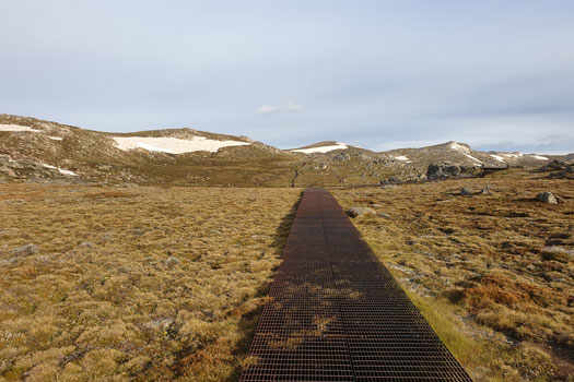 Metal grid forming a track across an alpine environment