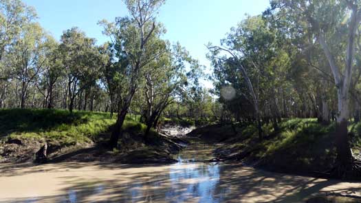 Mouth of a river with high dirt banks