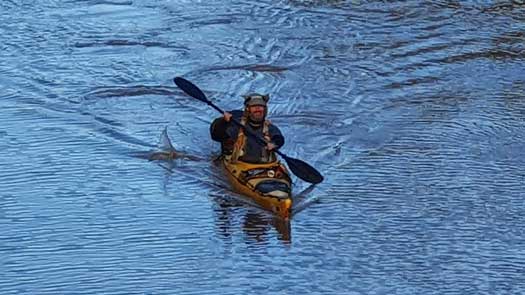 kayaker on the river