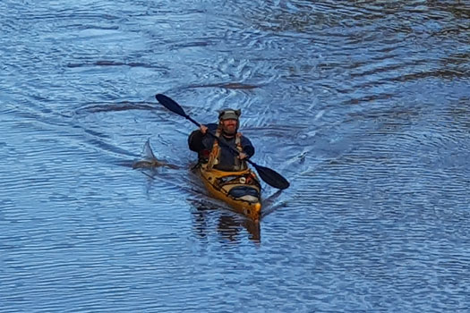 Author on kayaking at Surat