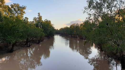 Wide slow flowing river lined by gum trees