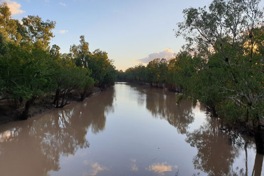 Wide slow flowing river lined by gum trees