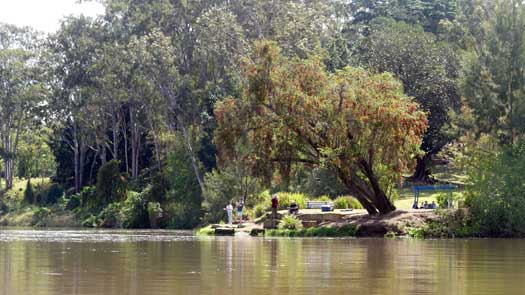 People fishing beside the river