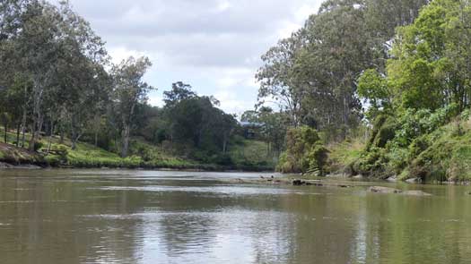 Rocks in the river