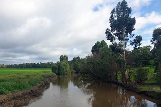 Creek through farmland with scattered trees
