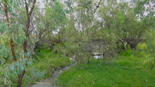 Small overgrown creek