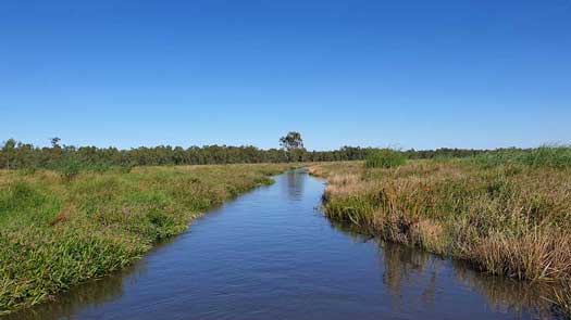 Small stream