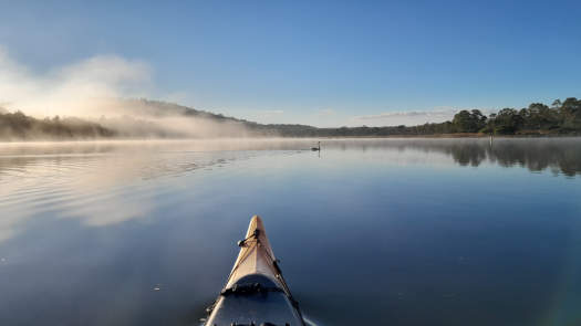 Still misty morning on the lake