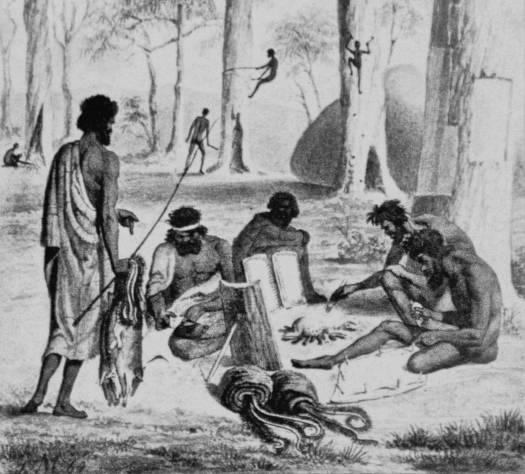 Drawing of people hunting possums in trees and processing their furs by a fire