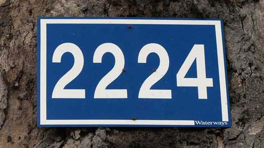 Sign on a tree with number 2224 written on it