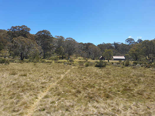 Two old huts in the bush