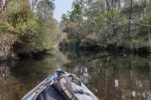 Deep pool surrounded by trees with a kayak.