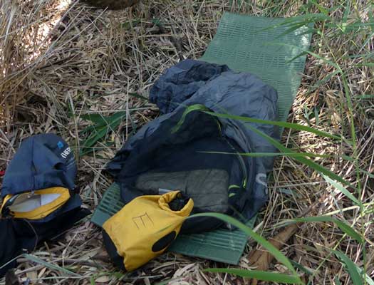 Campsite in long grass