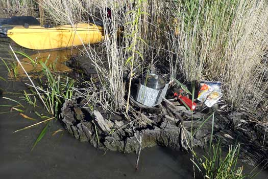 Cooking on a stump surrounded by swampy water