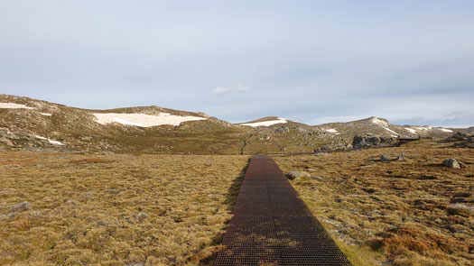 Metal grid path above grasses leading towards snow capped hills
