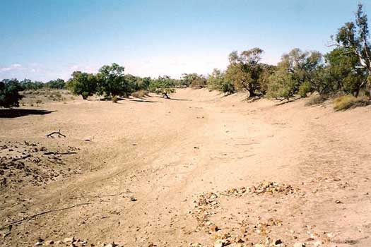The dry Paroo River near Wilcannia, QLD