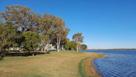 Grassy lake foreshore