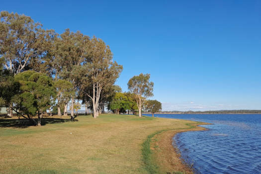 Grassy lake foreshore