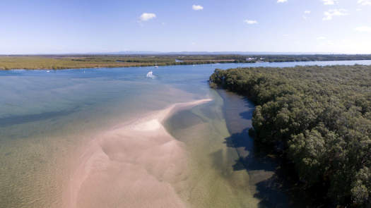 Large river surrounded by trees