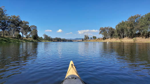 wide river with waterbirds