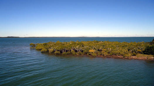 island in bay surrounded by mangroves