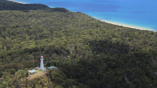 White lighthouse on forested hill