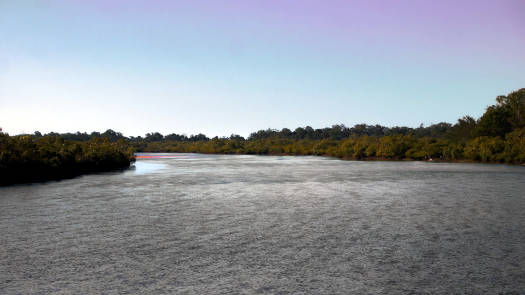 Wide creek surrounded by mangroves