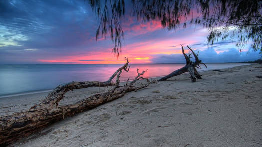 beachscape