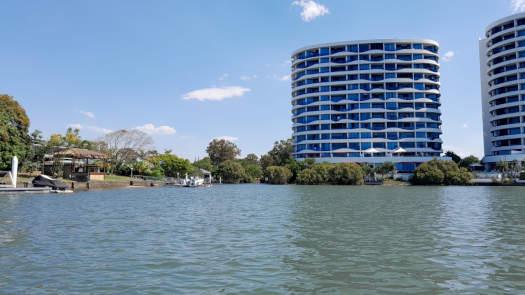 trees on the foreshore by apartment block