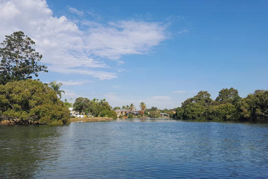 Mangrove and houses along creek