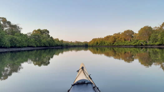 Mangroves