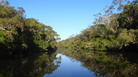 Reflections on the river