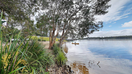 Lake shoreline