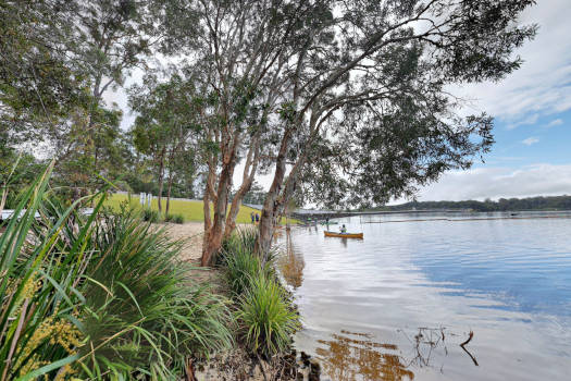 Lake shoreline