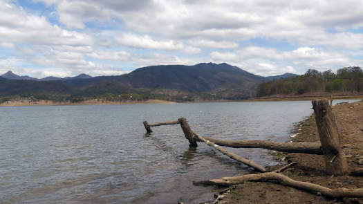 Forested mountains behind the lake