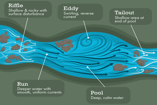 Diagram of a river